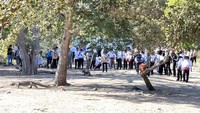 Penanaman pohon itu dilakukan di Pulau Rinca yang merupakan salah satu habitat Komodo pada Rabu (23/8/2023). Kapolri tampak didampingi Kabareskrim Komjen Wahyu Widada, Kadiv Hubinter Irjen Khrisna Murti, Kadiv Humas Polri Irjen Sandi Nugroho, hingga Kakorlantas Polri Irjen Firman Santyabudi. (Foto: dok ist)