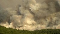 Upaya pemadaman dilakukan agar api tidak membesar dan merembet ke permukiman. Gurkan Duzenli/Reuters.