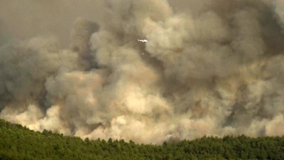 Giliran Turki yang Dilanda Kebakaran Hutan, Ini Penampakannya