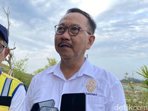 Bos Otorita Ungkap Fakta Baru soal IKN: PNS Banyak Mau Pindah-Bakal Ada Mal
