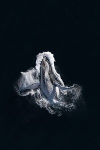 Ocean Photographer of the Year 2023