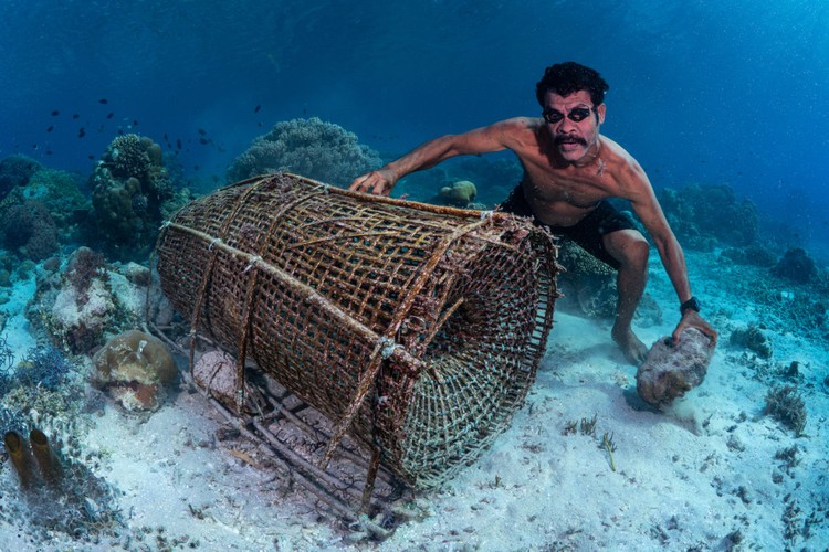 Ocean Photographer of the Year 2023 Ocean Photographer of the Year 2023