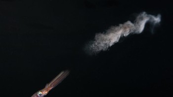 Finalist Young Photographer of the Year: Aaron Sanders. Lokasi: Falmouth. UK Foto: Ocean Photographer of the Year