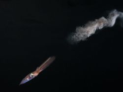 Karya Mencengangkan Finalis Kontes Foto Laut 2023, Banyak di Indonesia