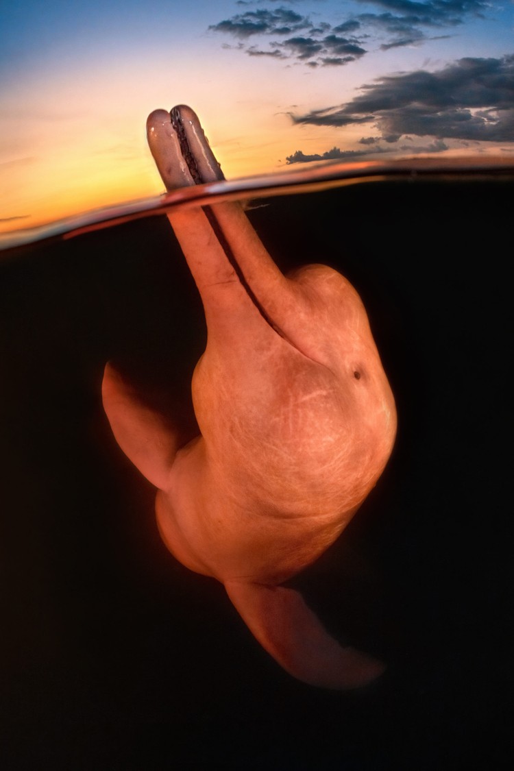Ocean Photographer of the Year 2023