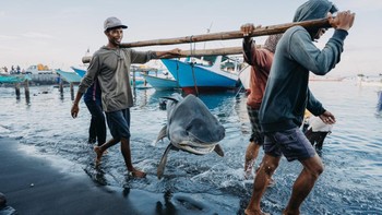 Finalist Conservation (Impact) Photographer of the Year: Rike Brandt. Lokasi: Lombok, Indonesia Foto: Ocean Photographer of the Year