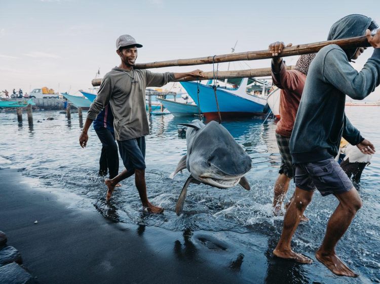 Karya Mencengangkan Finalis Kontes Foto Laut 2023, Banyak di Indonesia