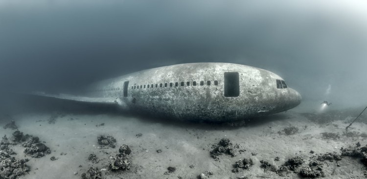 Ocean Photographer of the Year 2023