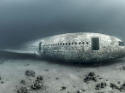 Karya Mencengangkan Finalis Kontes Foto Laut 2023, Banyak di Indonesia