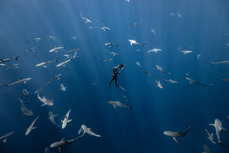 Ocean Photographer of the Year 2023