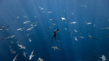 Finalist Adventure Photographer of the Year: Rachel Moore. Lokasi Polinesia Prancis. Foto: Ocean Photographer of the Year