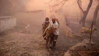 Warga menyelamatkan domba dari peternakan yang terbakar, saat api berkobar di desa Hasia, dekat Athena, Yunani, Selasa (22/8/2023).  