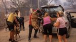 Paniknya Warga Yunani Selamatkan Ternak dari Api Kebakaran Hutan