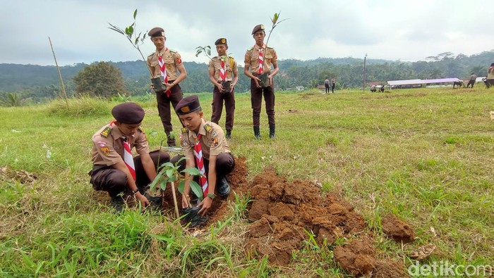 Penanaman pohon di Ciamis