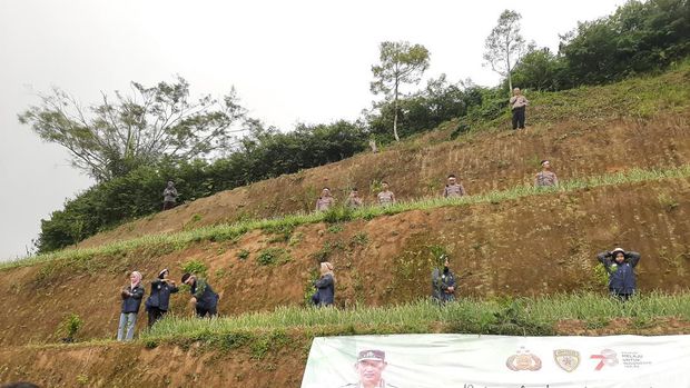 Penanaman pohon di Tasikmalaya