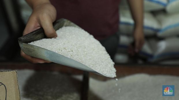 Penjual melayani pembeli beras di pasar Pal Merah, Jakarta, Rabu (23/8/2023). Harga beras terpantau naik hari ini dan kembali cetak rekor tertinggi. (CNBC Indonesia/Tri Susilo)