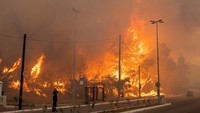 Pihak berwenang Yunani menemukan 18 mayat hangus terbakar saat kebakaran hutan menghanguskan sebagian daratan bagian timur laut negara itu.  