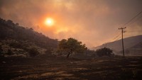 Matahari ikut memerah akibat asap kebakaran hutan.  