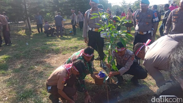 Proses penanaman pohon di Bandung
