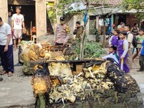 Ngamuk Tak Diberi Duit Rp500 Ribu, Pria di Sukabumi Bakar Rumah Ibu