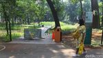 Waduh! Jembatan Kayu Tebet Eco Park Rusak Parah