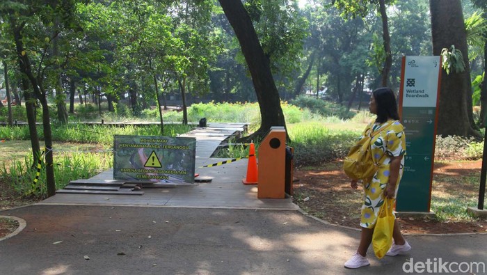 Waduh! Jembatan Kayu Tebet Eco Park Rusak Parah Jembatan kayu di Tebet Eco Park, Jakarta, rusak. Akses menuju jembatan kayu saat ini ditutup.