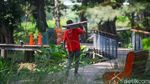 Waduh! Jembatan Kayu Tebet Eco Park Rusak Parah
