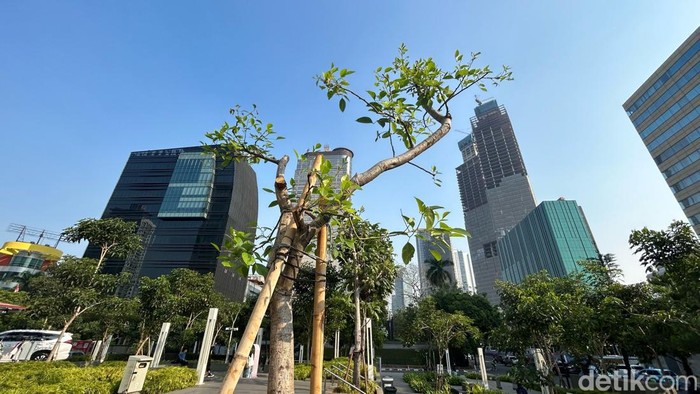 Wow, Langit Jakarta Pusat Sore Ini Membiru Wow, Langit Jakarta Pusat Sore Ini Membiru