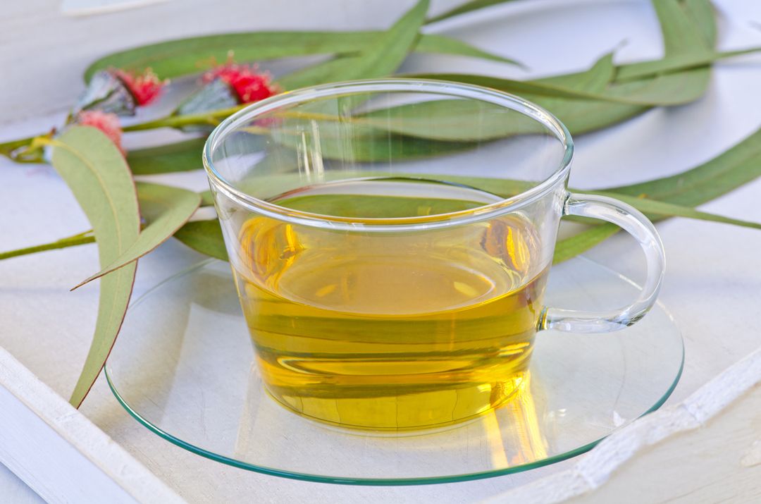 Eucalyptus leaves and herbal tea on white tray. Selective focus. Taken in daylight.