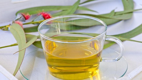 Eucalyptus leaves and herbal tea on white tray. Selective focus. Taken in daylight.