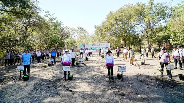 Delegasi AMMTC melakukan penanaman pohon di Taman Nasional Komodo