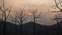 Kondisi ini semakin membuat cuaca di kawasan ini menjadi panas.  