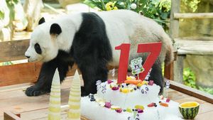 Aksi Gemas Panda Raksasa yang Sedang Ultah