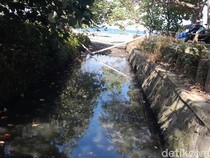 Duh! Pengusaha Hotel Nakal Masih Buang Limbah ke Laut Pangandaran
