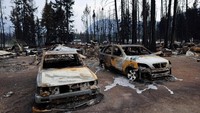 Kanada tengah mengalami kebakaran hutan yang dahsyat, sekitar 15 juta hektar hutan terbakar.  