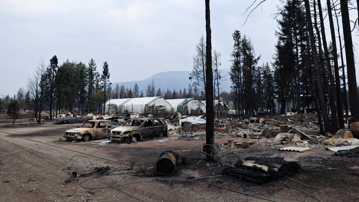 Panasnya Kebakaran Hutan di Kanada Bikin Mobil Meleleh Figurines sit among the ashes of a home after the Bush Creek wildfire destroyed dozens of homes and other buildings in Scotch Creek, Lee Creek and Celista in the North Shuswap Lake region of British Columbia, Canada. August 23, 2023 REUTERS/ Jesse Winter