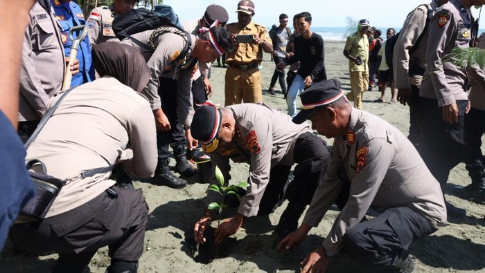 Aksi penanaman 500 bibit pohon oleh Kapolda Papua di Kabupaten Sarmi.