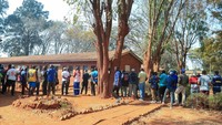 Enam juta pemilih Zimbabwe yang terdaftar pergi ke tempat pemungutan suara untuk memilih presiden negara itu.  
