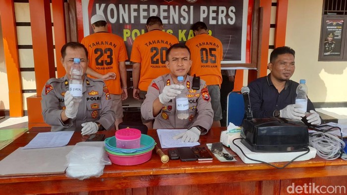 Polres Kaur tangkap 3 penjual-pengepul baby lobster atau benur di Kabupaten Kaur, Bengkulu.