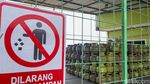 Perhatian! Mulai 1 Januari 2024 Beli LPG 3 Kg Wajib Bawa KTP