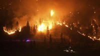 Menurut salah satu anggota tim peneliti, Dr Yan Boulanger dari Natural Resources Canada, kondisi panas dan kering,didorong oleh perubahan iklim, menyebabkan lahan hutan di Kanda menjadi lebih mudah terbakar.