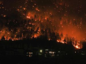 6 Kebakaran Hutan Terbesar di Dunia, Apakah Ada Indonesia?
