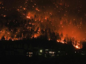 6 Kebakaran Hutan Terbesar di Dunia, Apakah Ada Indonesia?
