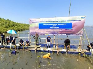 Bantu Tekan Polusi, PNM Tanam 22.000 Pohon Mangrove di 3 Kota