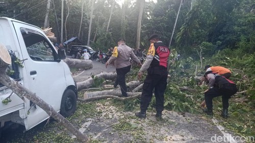 Satu unit pikap ringsek tertimpa pohon tumbang di jalur lintas Gianyar-Badung di Ubud, Bali.