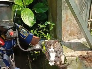 Damkar Selamatkan Kucing 5 Hari Terjebak dalam Sumur di Kemalang Klaten