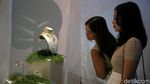 Tulola Gandeng UMKM Gelar Pameran Perhiasan