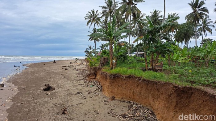 Abrasi di pesisir Bengkulu ancam ratusan kilometer jalan nasional.