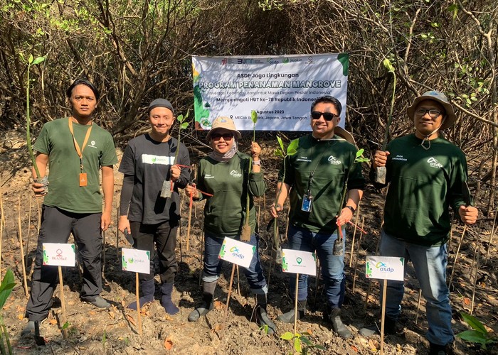 ASDP Tanam Mangrove