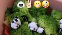 Tentu saja ia menentukan tema dan menaruh pernak-pernik yang membuat Bilqis semangat makan. Kali ini temanya Panda di Taman Brokoli.